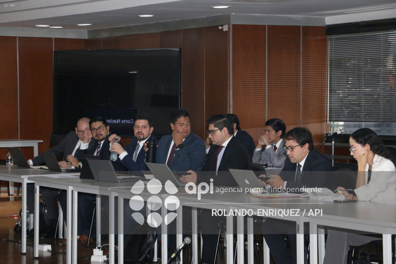 AUDIENCIA CASO PROGEN