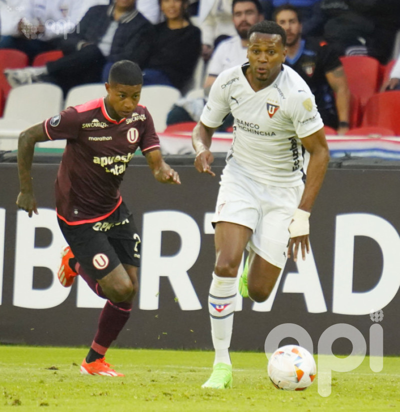 El albo se consuela con la Sudamericana