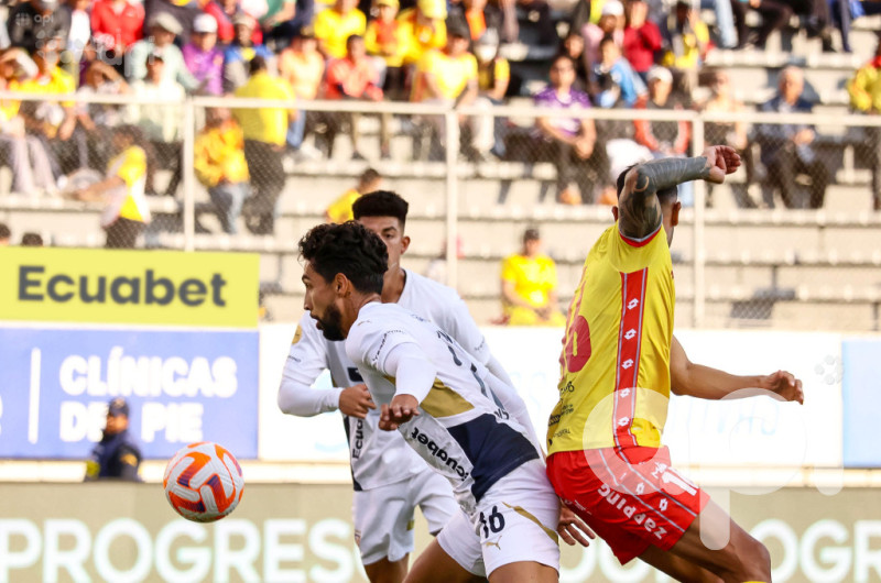 Papá se reivindica a costa del albo