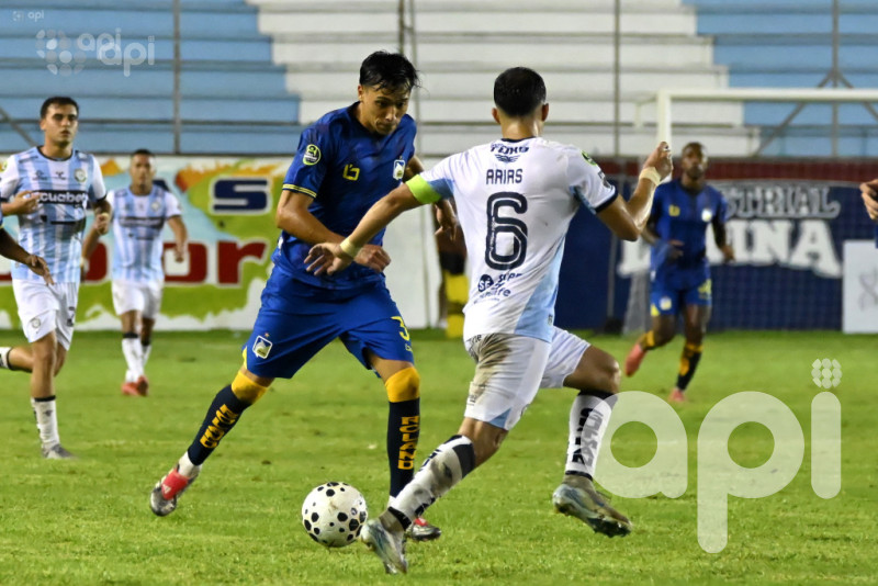 Cetáceo se acomoda puntero a manos del Ciudadano