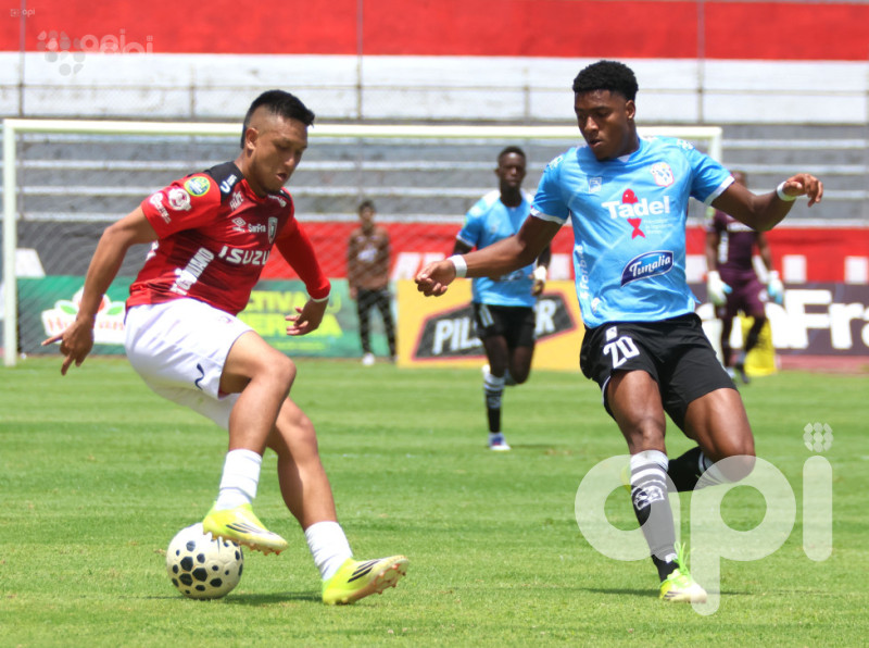 Felinos respiran y el atunero se ahoga