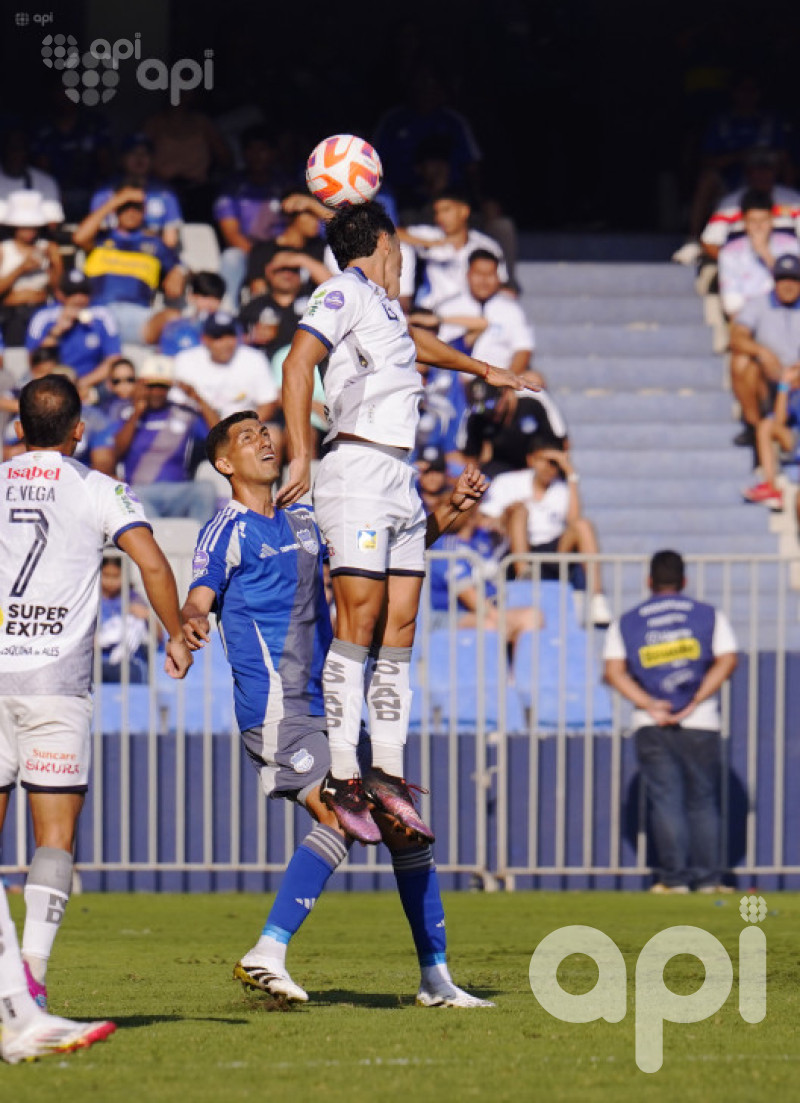 Al final, el cetáceo corta la luz del Capwell