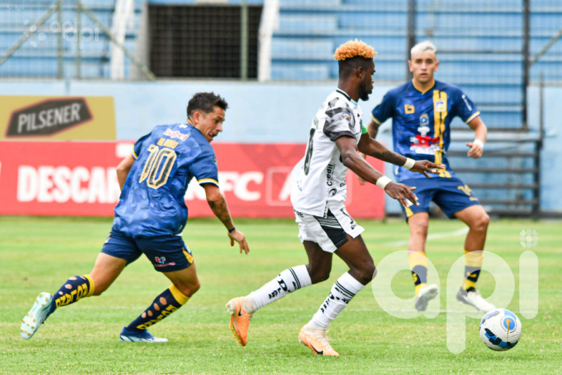 El cetáceo suma poco y el celeste crece