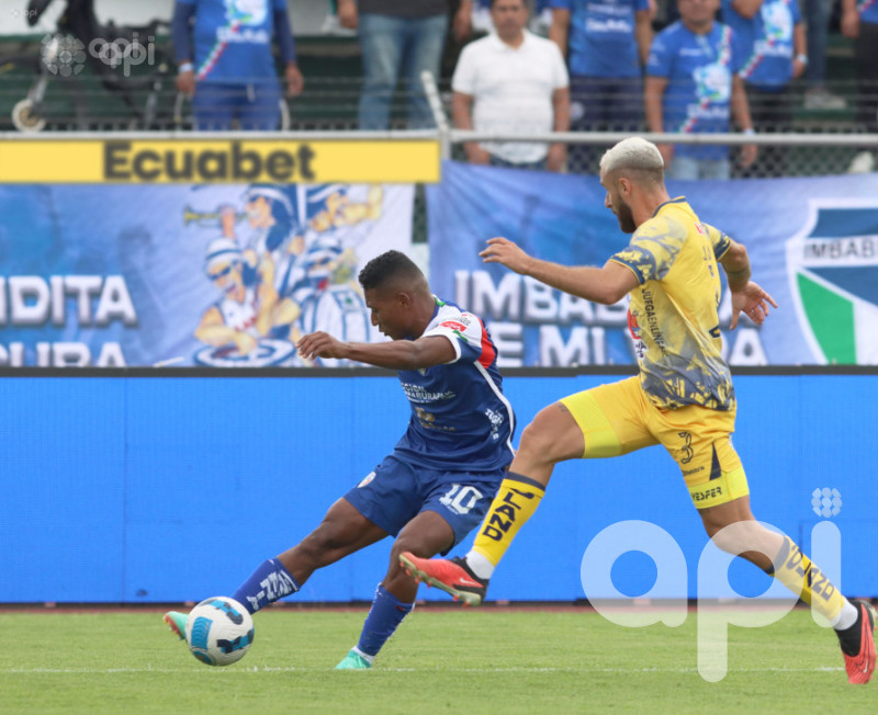 Imbabura tumba al Cetáceo en 45 minutos