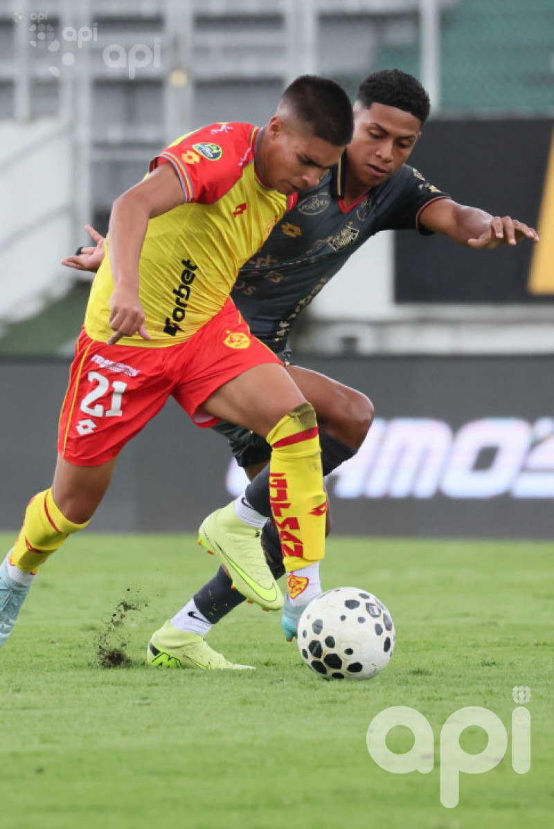 Cuenquita completa semana redonda