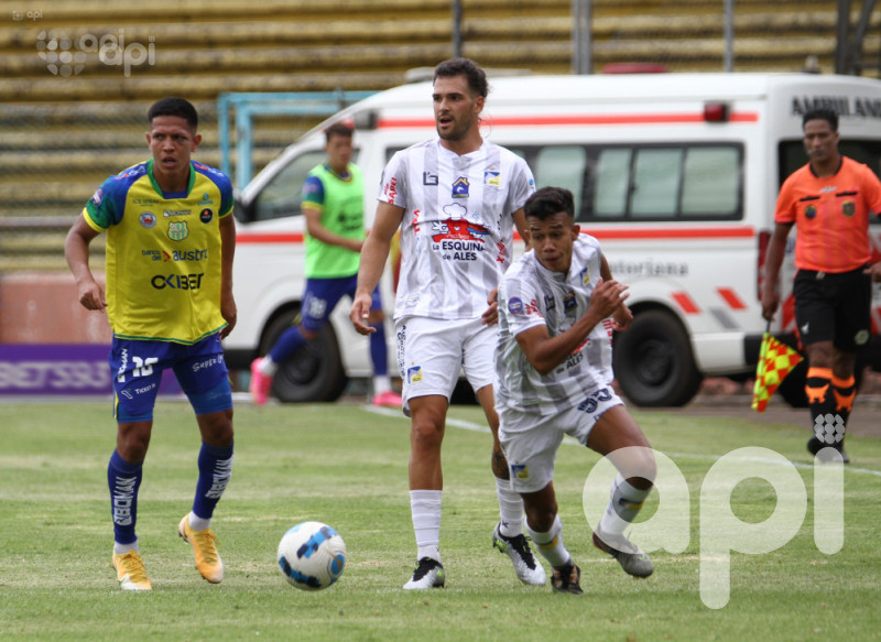 Guala suma y el Cetáceo lamenta