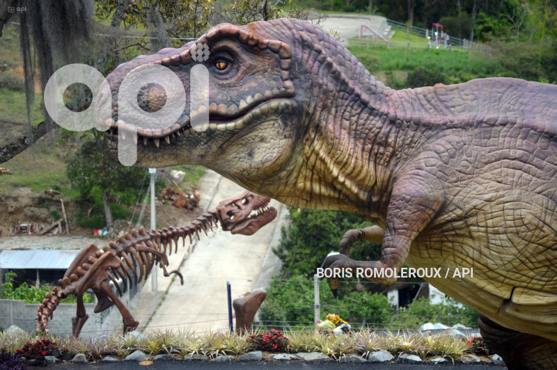 PAUTE-PARQUE JURASICO