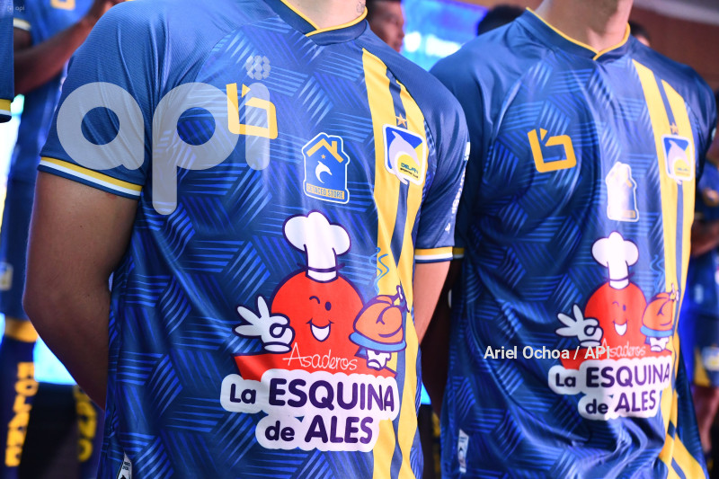 FBL-DELFIN-CAMISETA-PRESENTACION