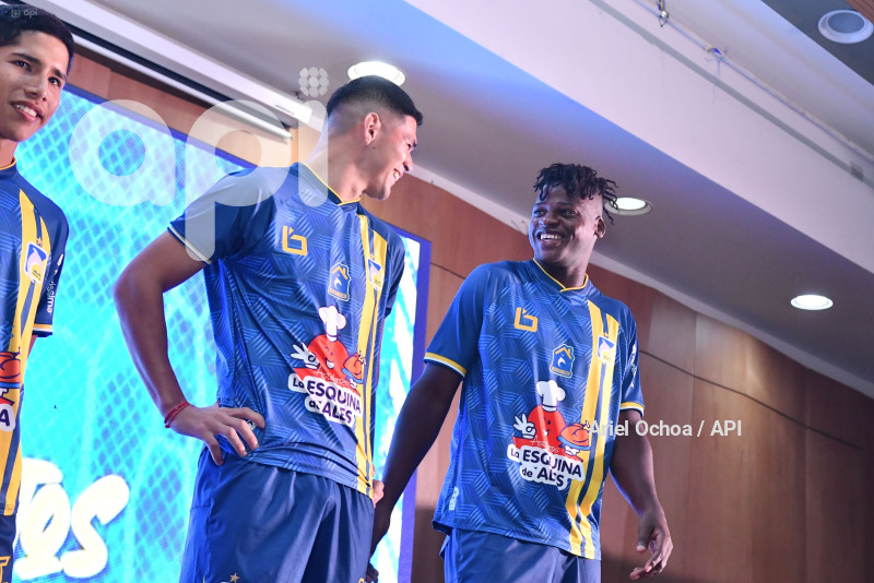 FBL-DELFIN-CAMISETA-PRESENTACION