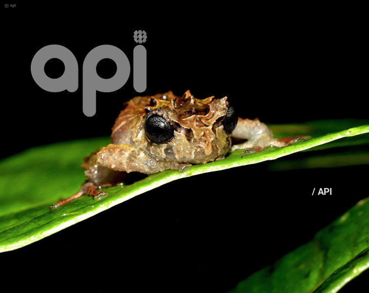 INABIO PRESNTA DOCUMENTO NUEVA ESPECIE