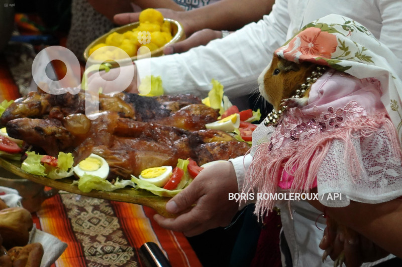 CUENCA-FESTIVAL DEL CUY-NULTI