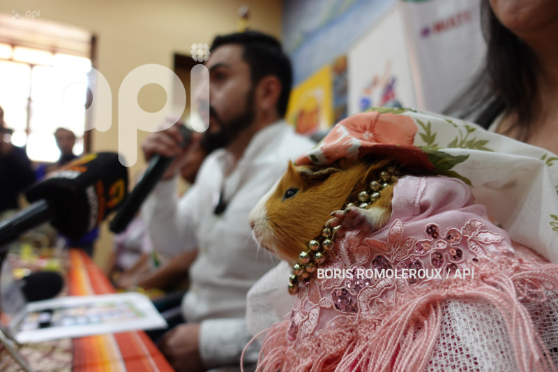 CUENCA-FESTIVAL DEL CUY-NULTI