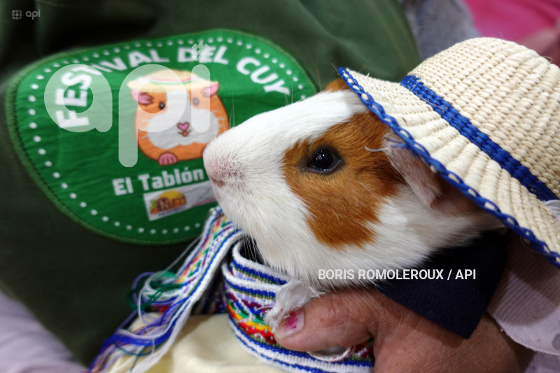 CUENCA-FESTIVAL DEL CUY-NULTI