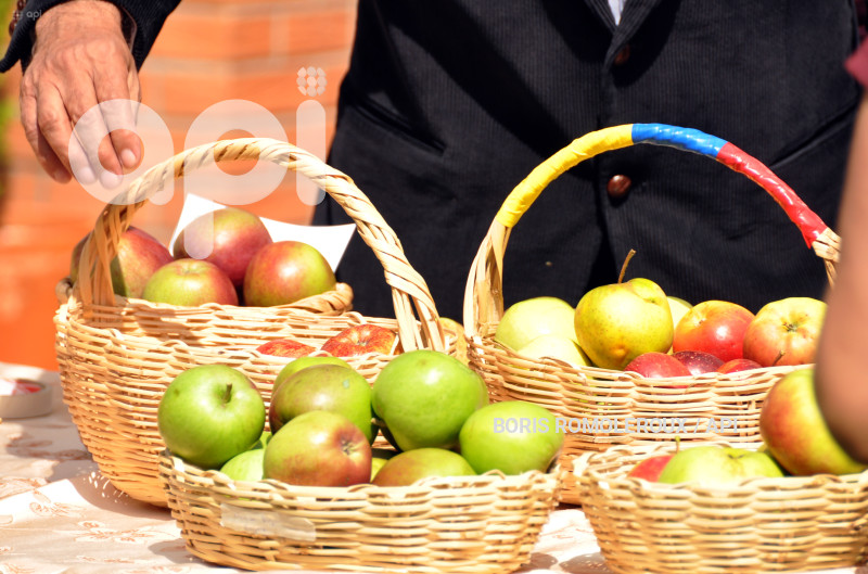 CUENCA-LANZAMIENTO-VII FESTIVAL DE LA MANZANA