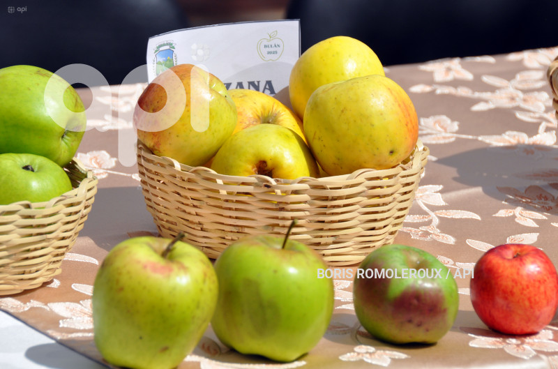 CUENCA-LANZAMIENTO-VII FESTIVAL DE LA MANZANA