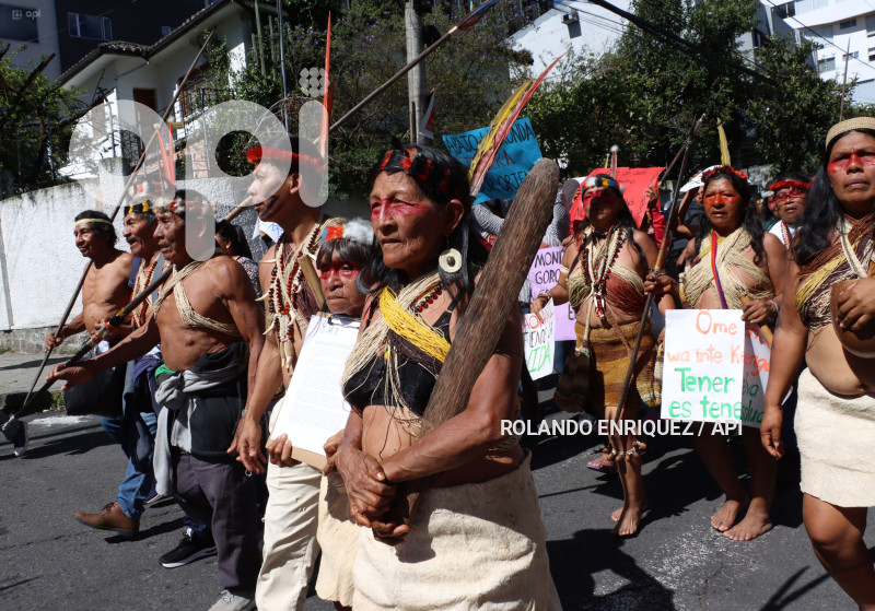 WAORANIS  EN CORTE CONSTITUCIONAL