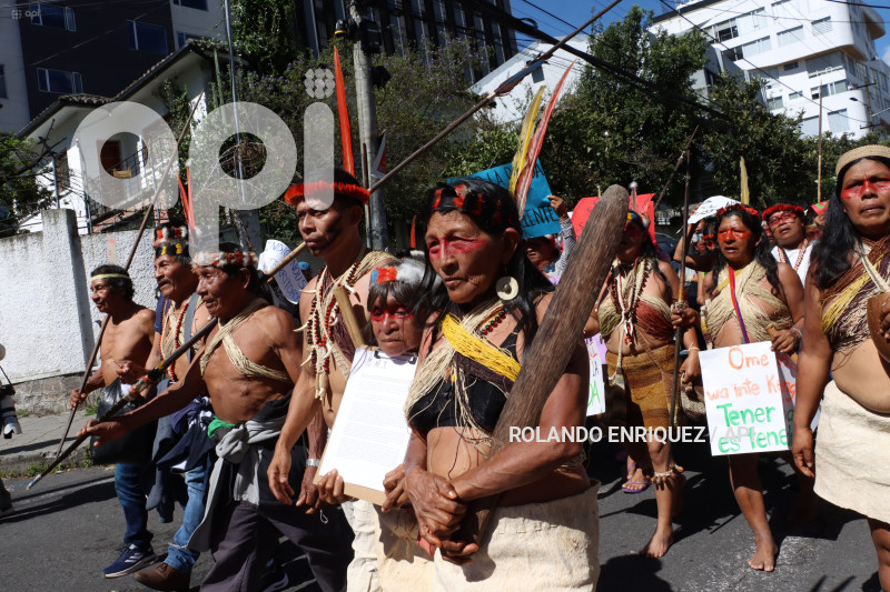 WAORANIS  EN CORTE CONSTITUCIONAL