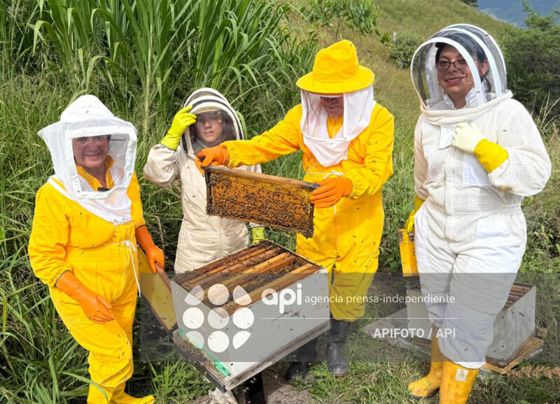CUENCA-DIA MUNDIAL DE LAS ABEJA