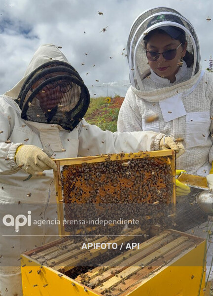 CUENCA-DIA MUNDIAL DE LAS ABEJA