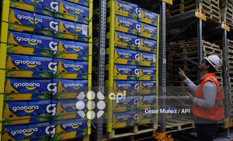 GYE-COSCO-CONTECOM