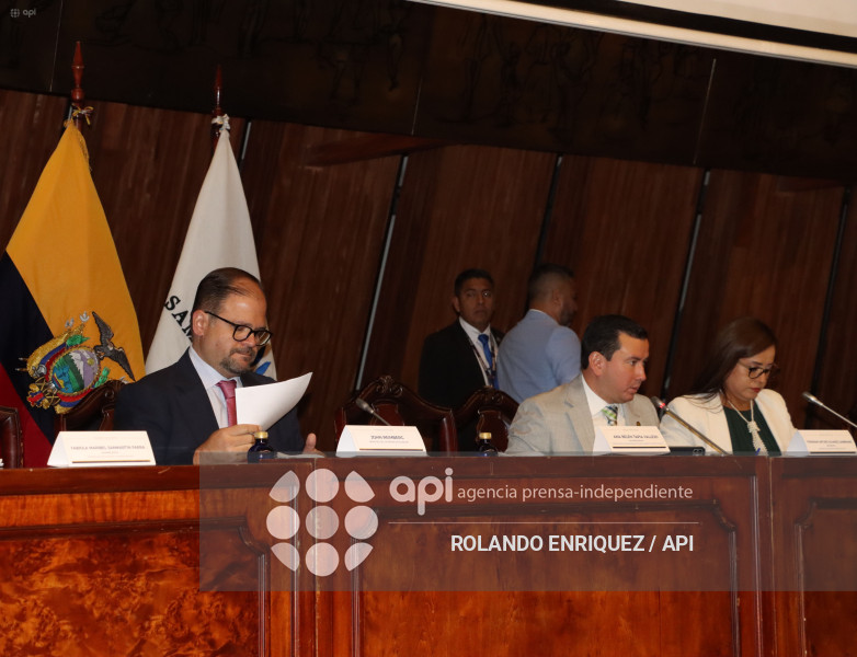 REINBERG COMISION FISCALIZACION