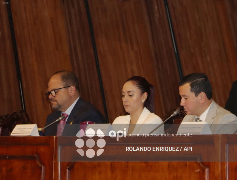 REINBERG COMISION FISCALIZACION