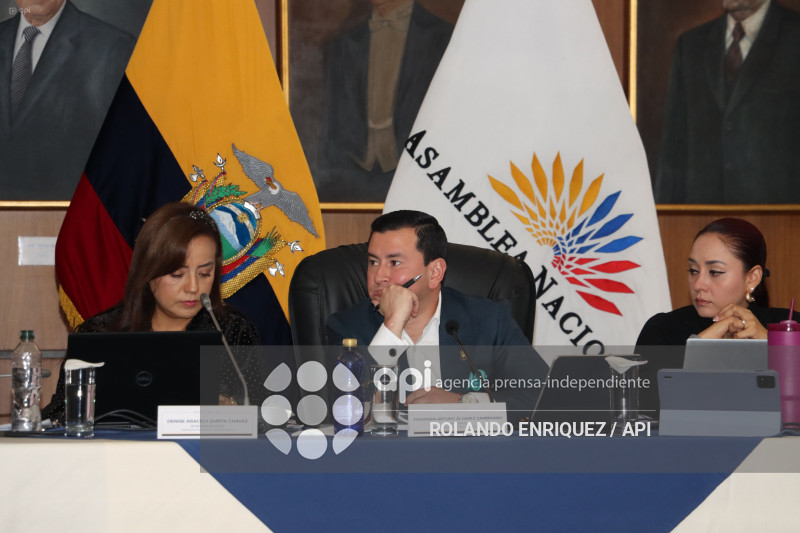 MARIO GODOY  REINSTALACION COMISION FISCALIZACION