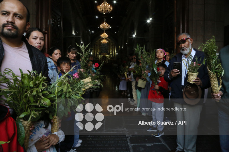 SAN FRANCISCO DOMINGO DE RAMOS