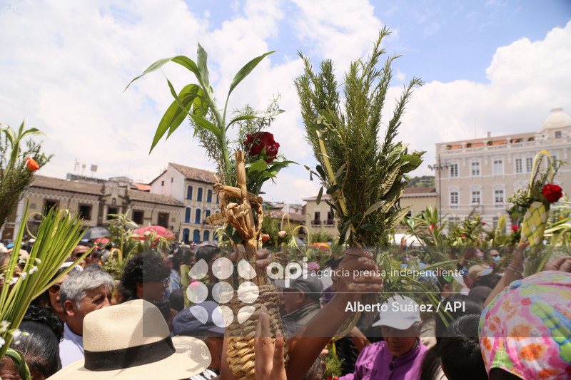 SAN FRANCISCO DOMINGO DE RAMOS