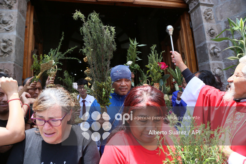 SAN FRANCISCO DOMINGO DE RAMOS