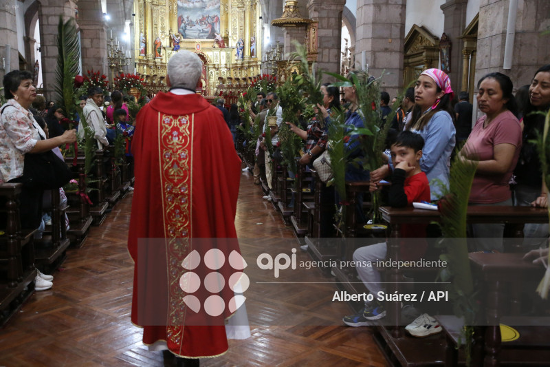 SAN FRANCISCO DOMINGO DE RAMOS