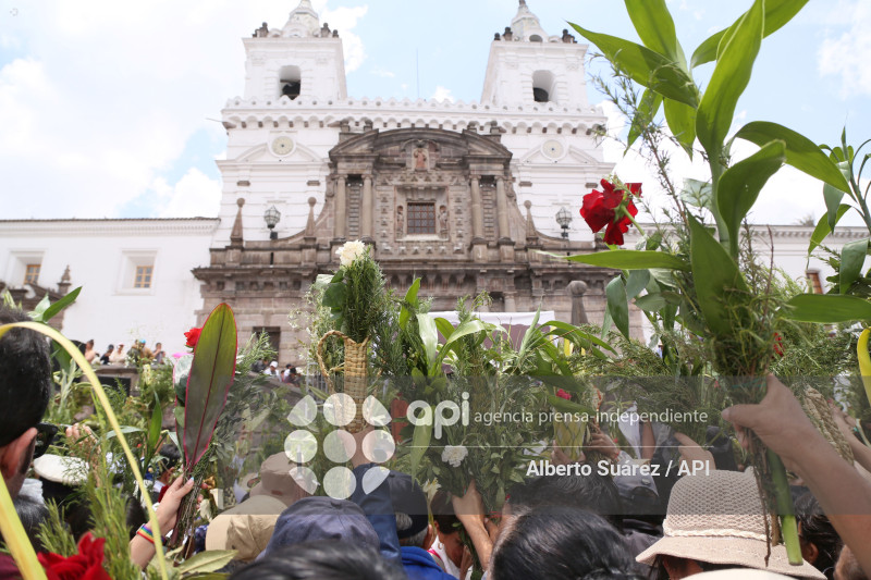 SAN FRANCISCO DOMINGO DE RAMOS