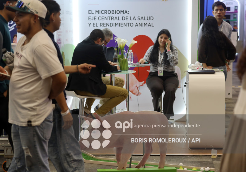 CUENCA-INAGURACION CONGRESO INTERNACIONAL-PORCICULTURA