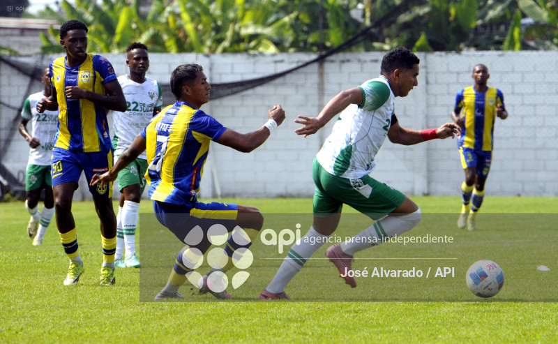 SPO-COPAECUADOR-AFRICANO-INDEPEN