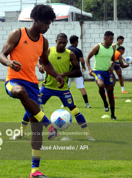 SPO-COPAECUADOR-AFRICANO-INDEPEN