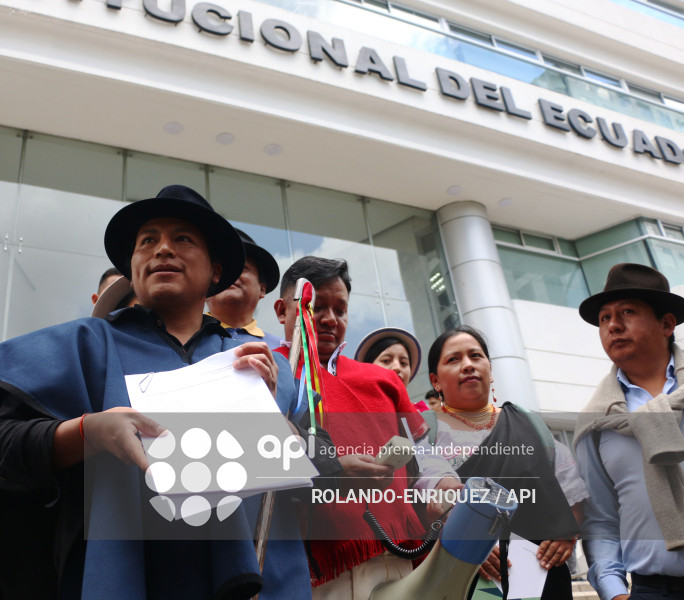 ACCION INCONSTITUCIONALIDAD FENOCIN CORTE CONSTITUCIONAL