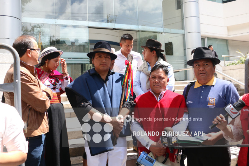 ACCION INCONSTITUCIONALIDAD FENOCIN CORTE CONSTITUCIONAL