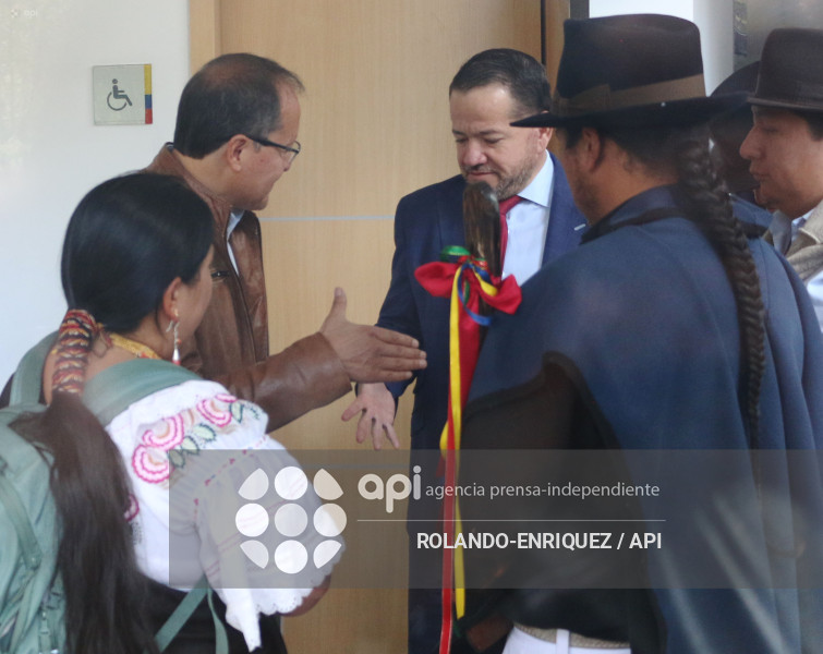 ACCION INCONSTITUCIONALIDAD FENOCIN CORTE CONSTITUCIONAL