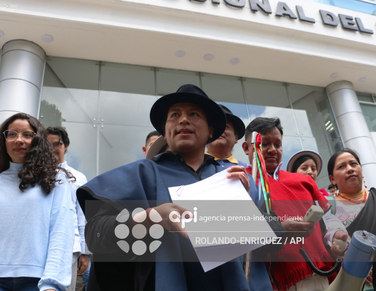 ACCION INCONSTITUCIONALIDAD FENOCIN CORTE CONSTITUCIONAL