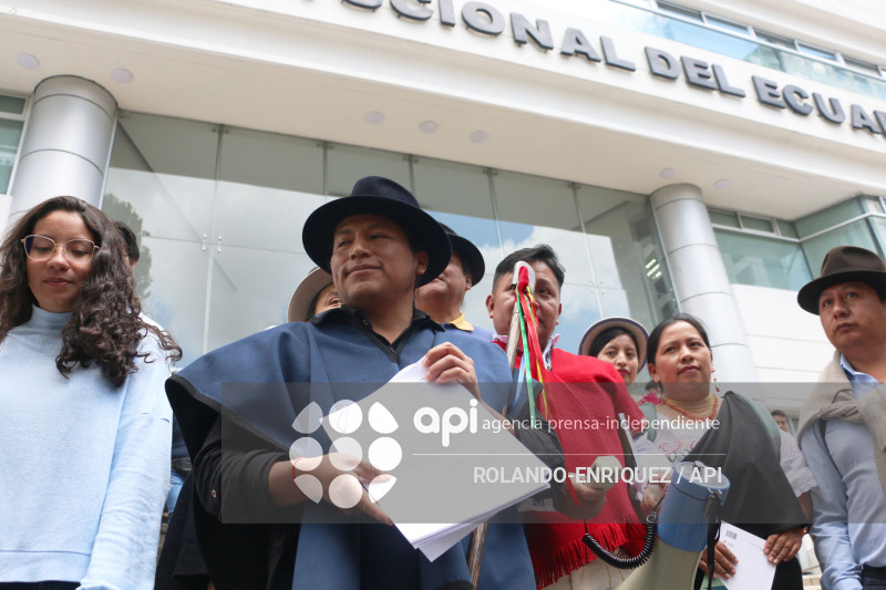 ACCION INCONSTITUCIONALIDAD FENOCIN CORTE CONSTITUCIONAL