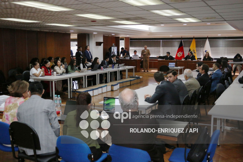 AUDIENCIA CASO SINOHYDRO