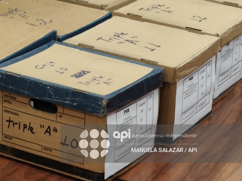 AUDIENCIA CASO TRIPLE A