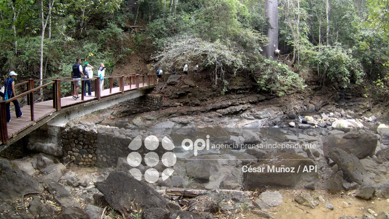 ORO-BOSQUE PETRIFICADO PUYANGO
