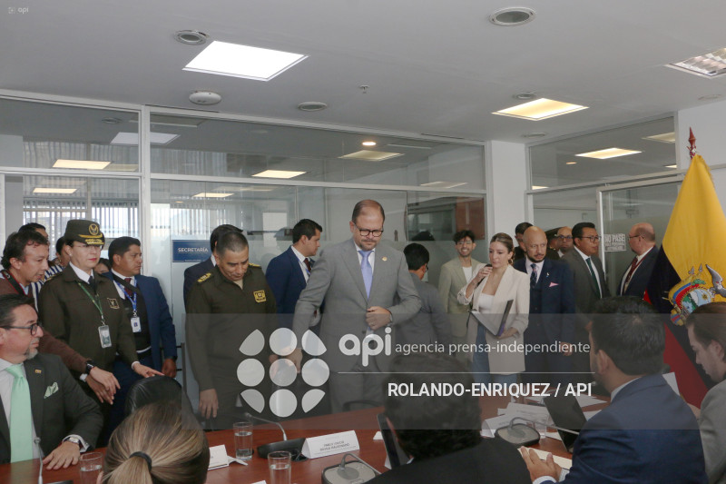 REINBERG COMISION SEGURIDAD