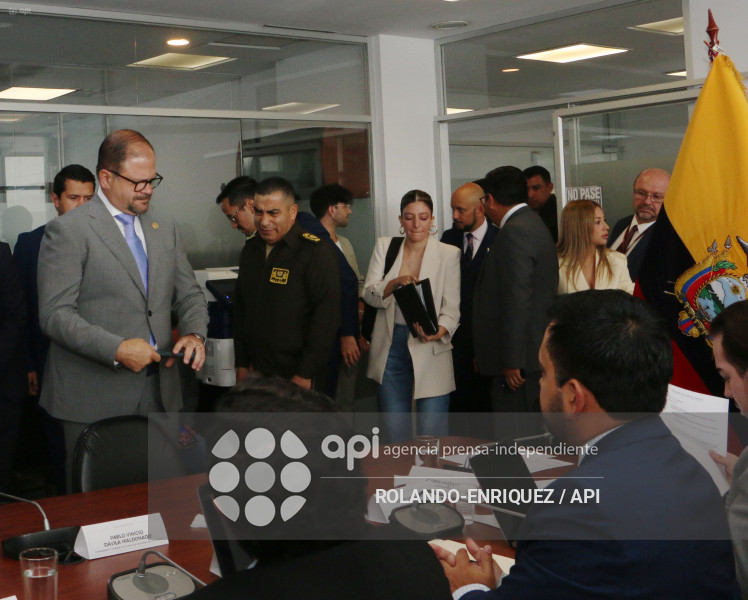REINBERG COMISION SEGURIDAD