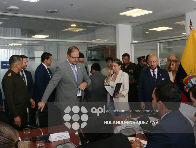 REINBERG COMISION SEGURIDAD