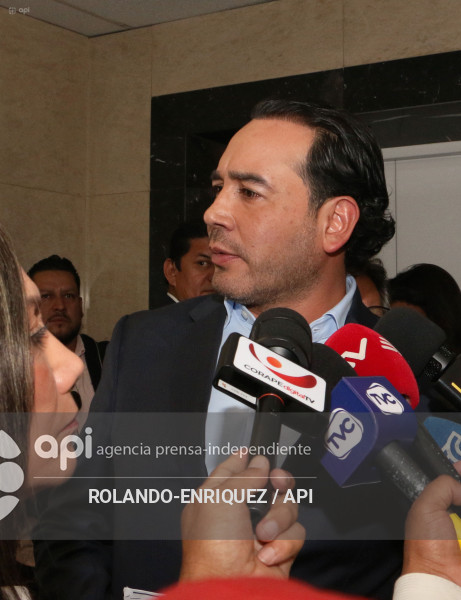 REINBERG COMISION SEGURIDAD