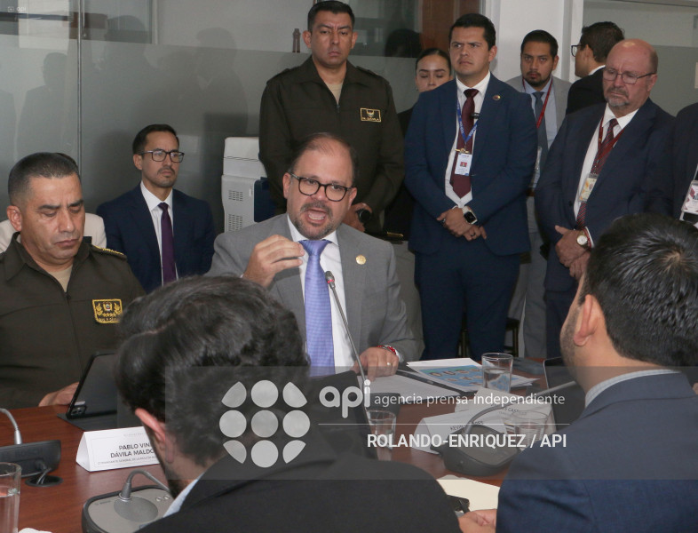 REINBERG COMISION SEGURIDAD