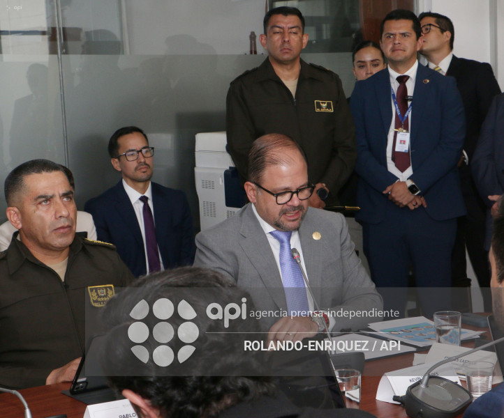 REINBERG COMISION SEGURIDAD