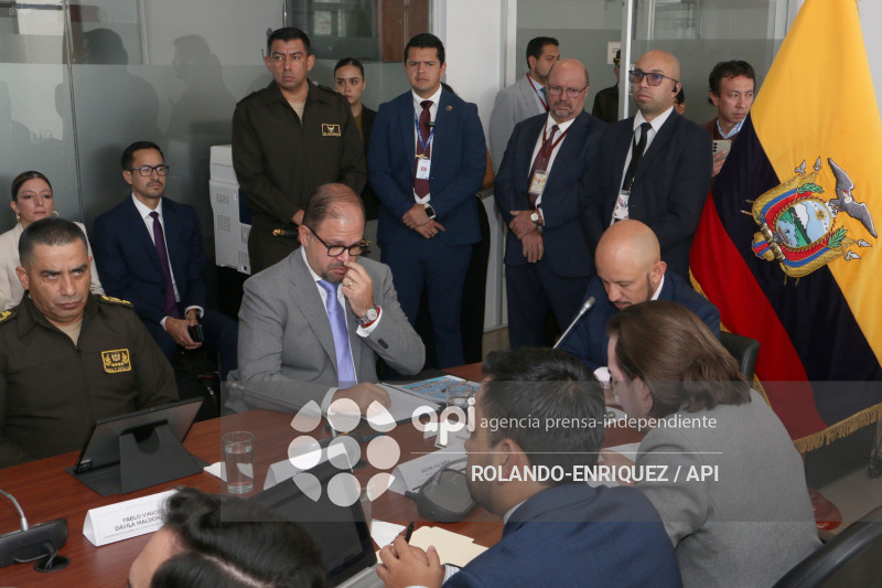 REINBERG COMISION SEGURIDAD